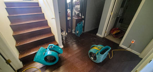 Best Local water damage restoration  in West Hammond, NM