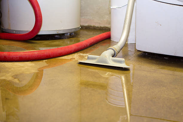 Best Sewage cleanup and water damage restoration  in West Hammond, NM
