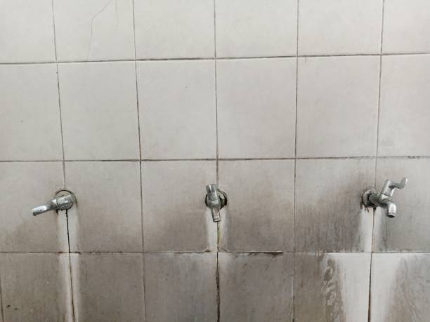 Best Fire Damage Restoration  in West Hammond, NM