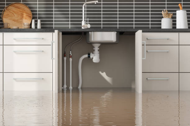 Best Professional water damage repair  in West Hammond, NM