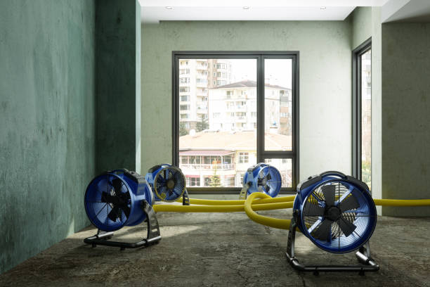 Best Water damage contractors near me  in West Hammond, NM